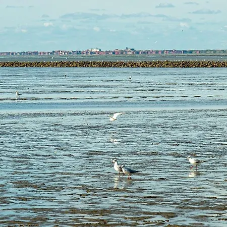 Apartament Lille Huus In Bei Emden Hinte